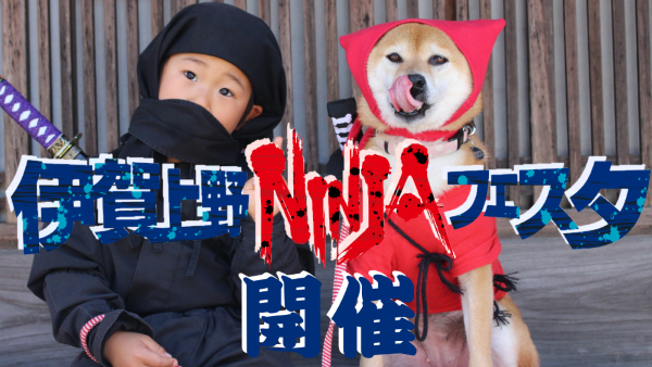 NINJA FESTA2025