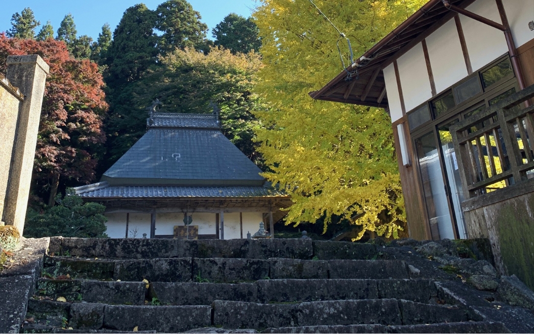 霊山寺と天然記念物