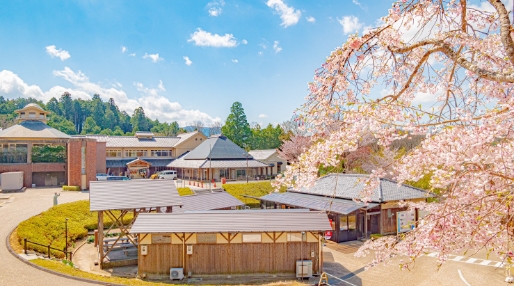 大山田温泉さるびの