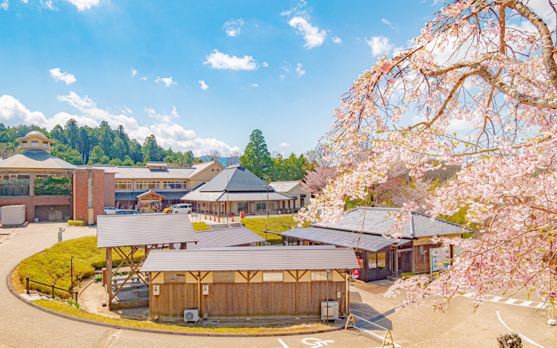 大山田温泉さるびの