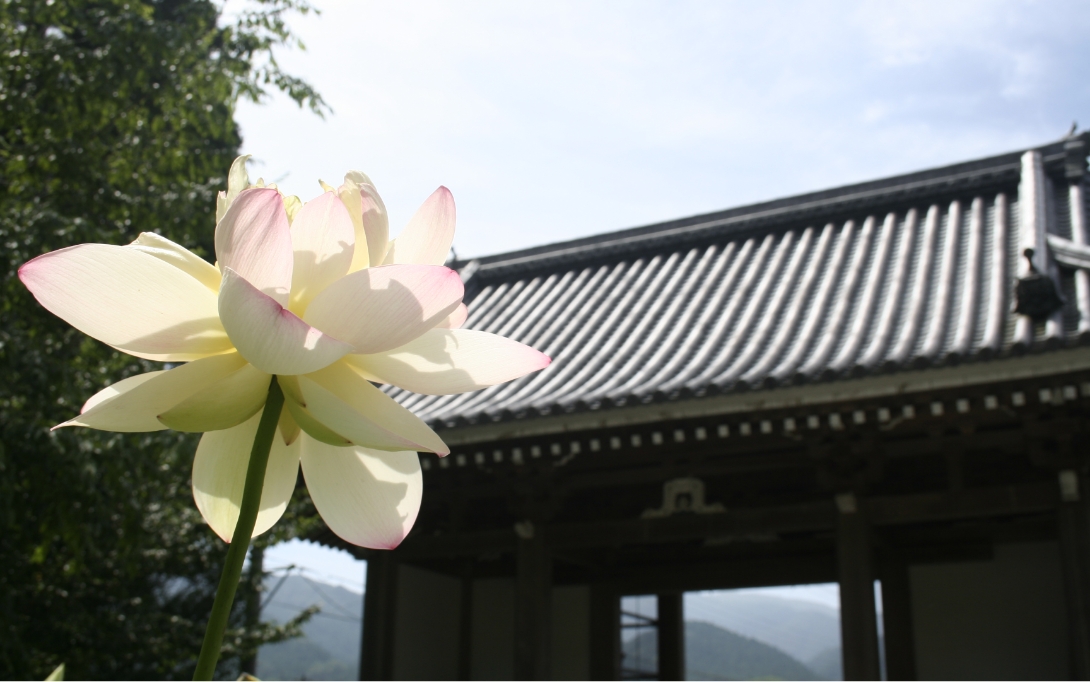 境内には芭蕉翁の句碑も