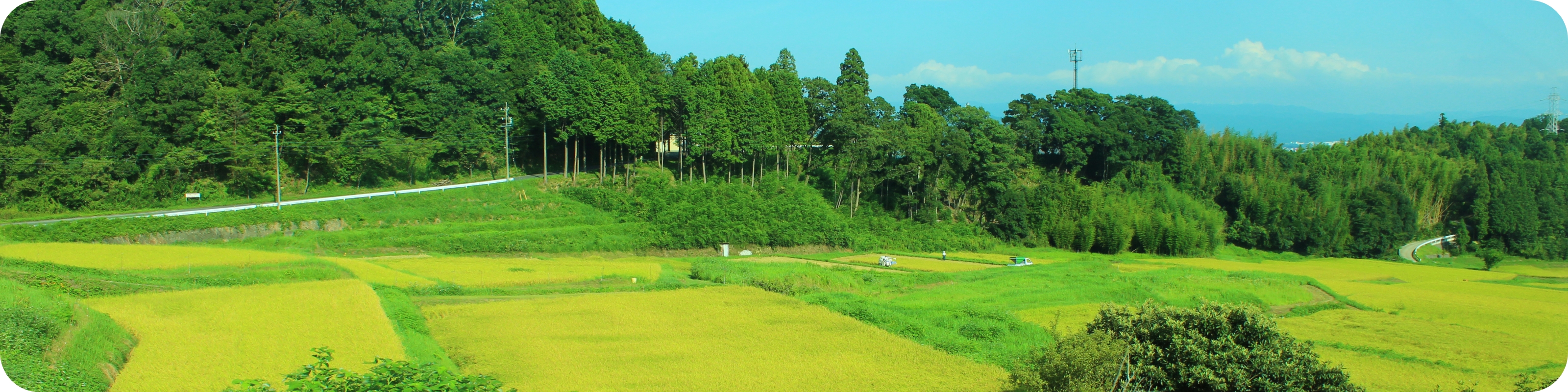 美しい自然風景