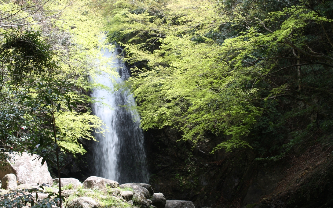 夏でも涼しい紅葉の名所