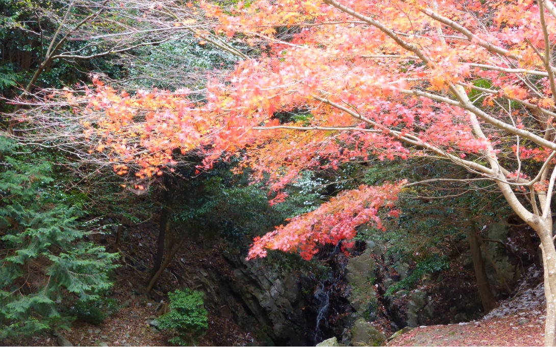 地元に語られる伝説の地