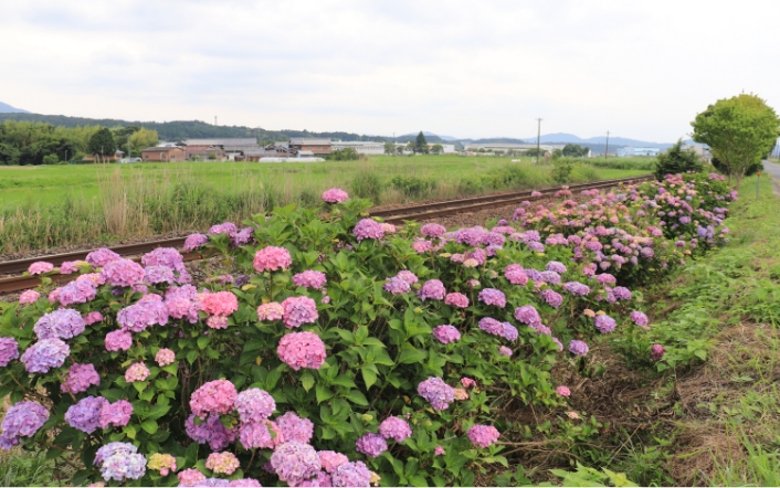 6月の風景