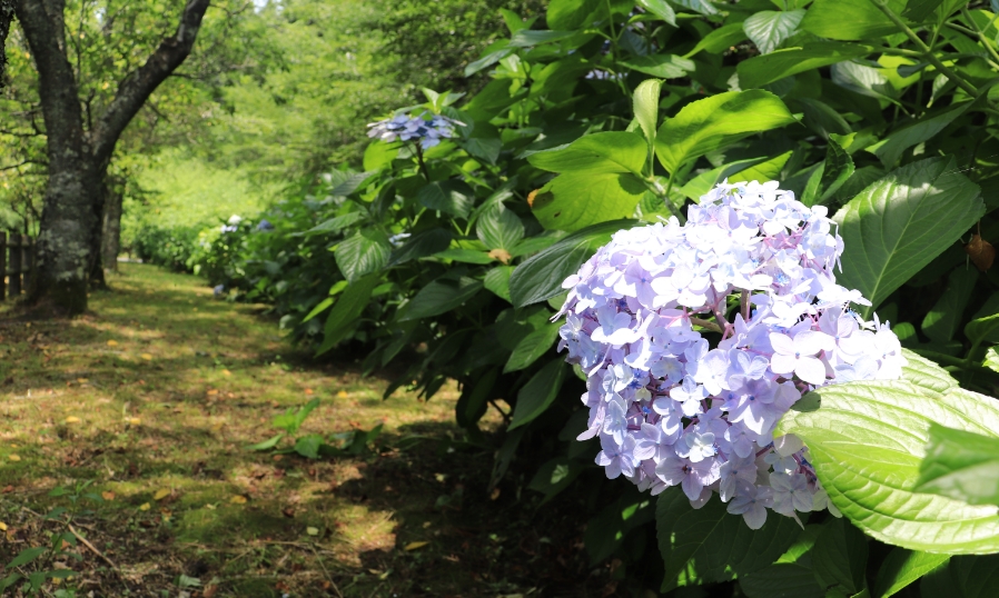 岩倉峡公園