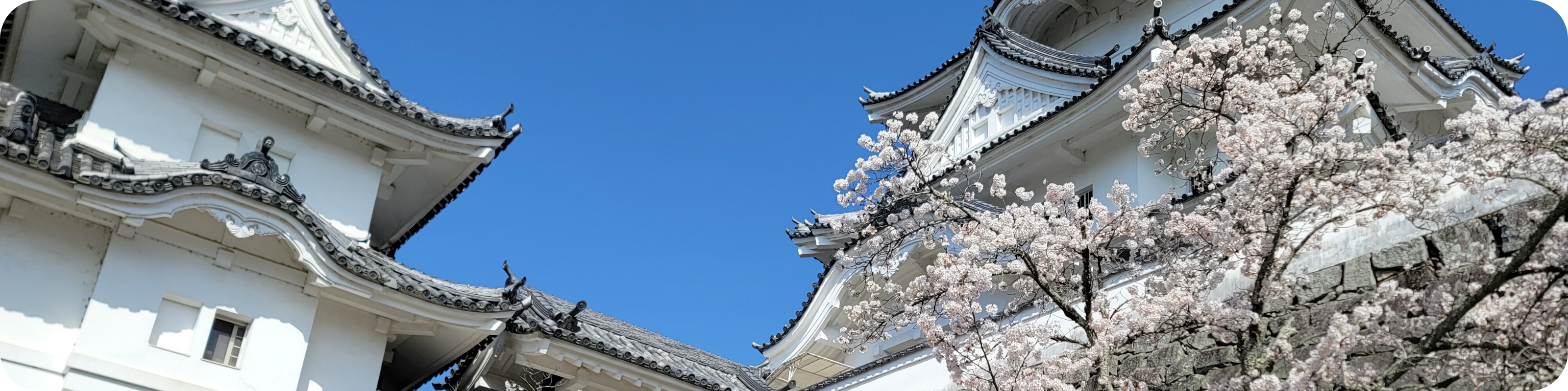 春の風景