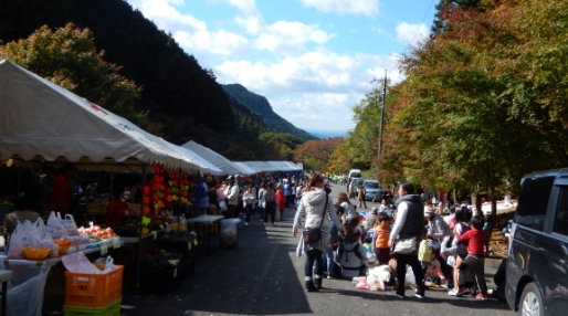 滝山渓谷紅葉まつり