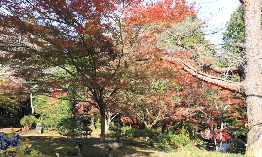 芭蕉の森公園