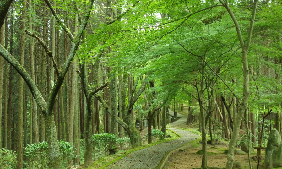 ふるさと芭蕉の森公園