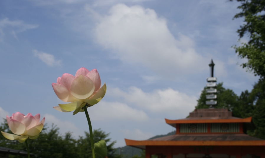 新大仏寺