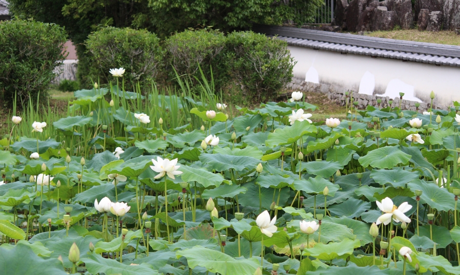 持佛寺