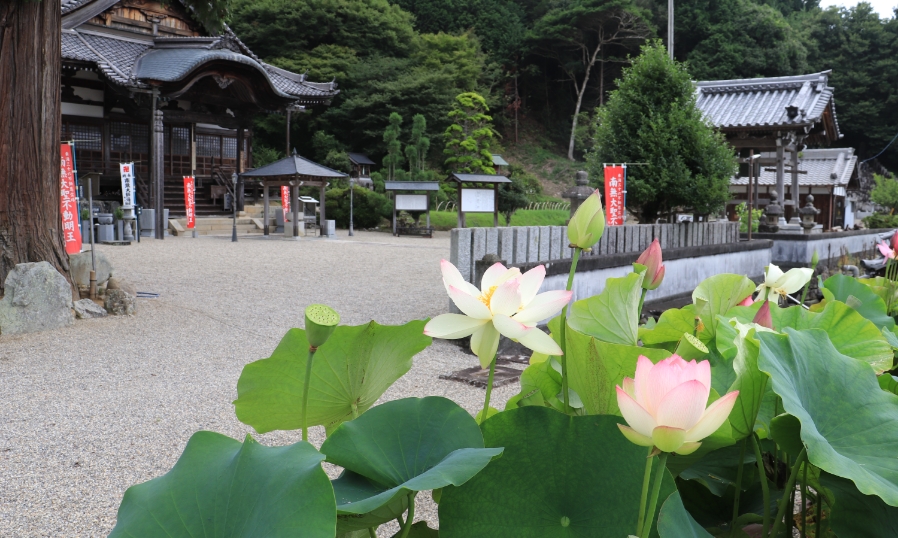 常福寺