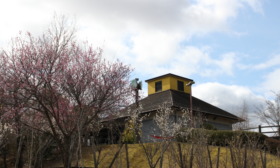 三重県立上野森林公園